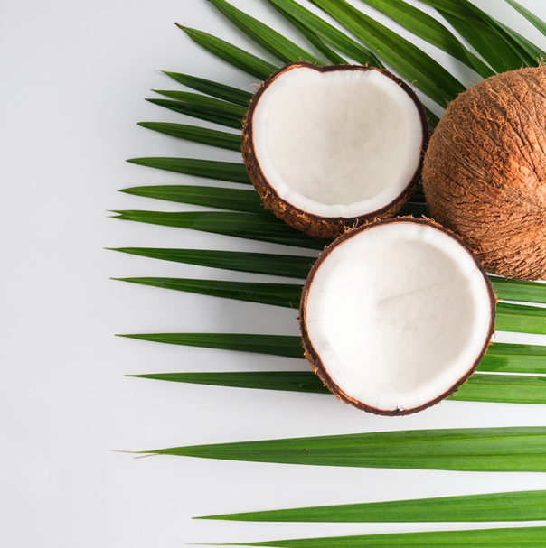 coconut